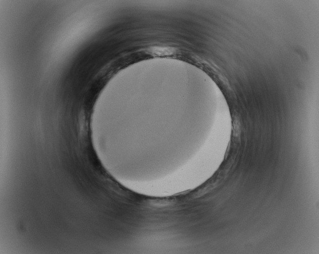 X0000116020763200912312153