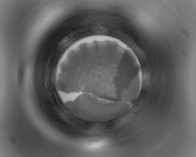 X0000116020765200912312153