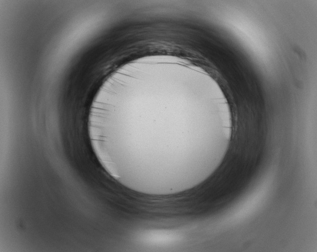 X0000116020766200912312153