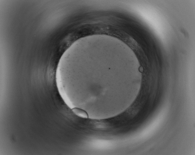 X0000116020767200912312153