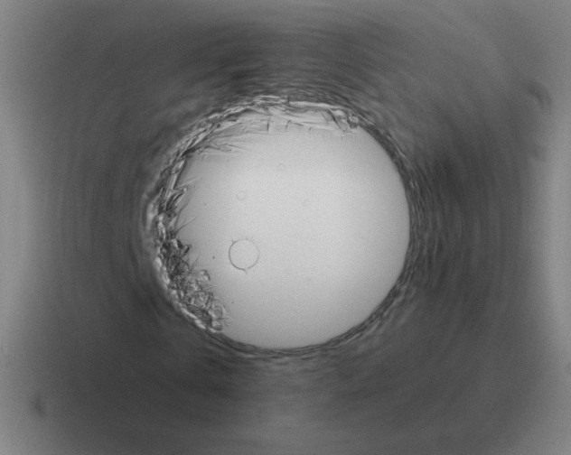 X0000116020769200912312152