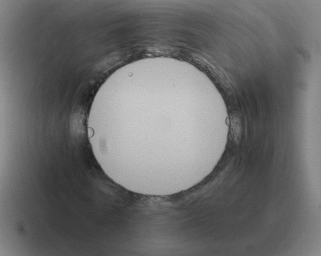 X0000116020770200912312152