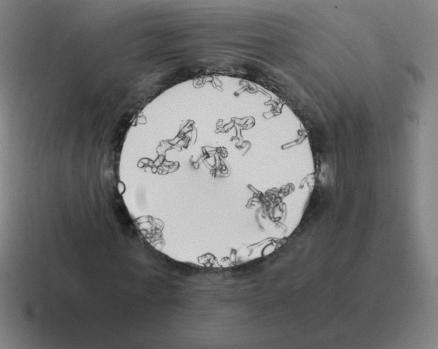 X0000116020771200912312152