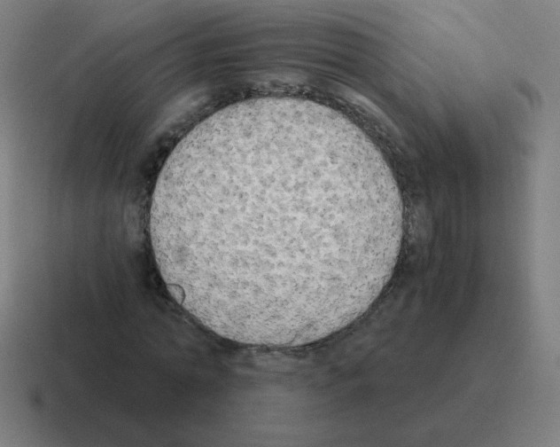 X0000116020774200912312152