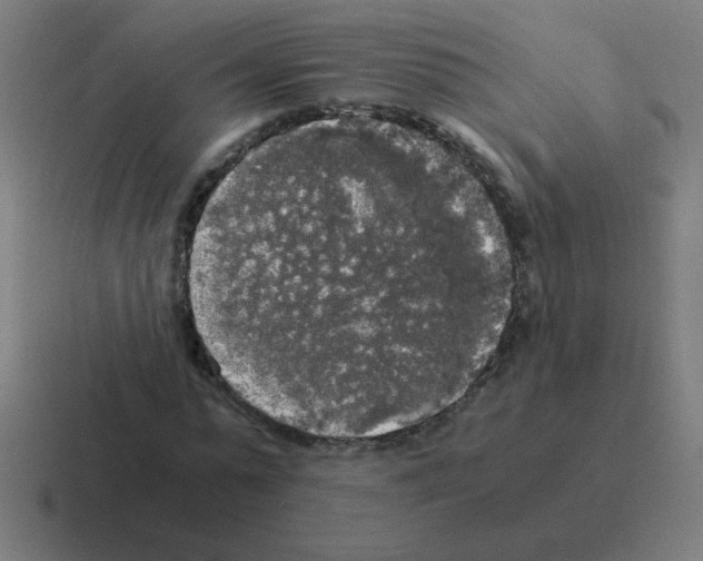 X0000116020775200912312152