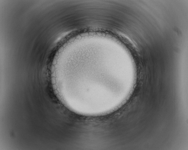 X0000116020776200912312152