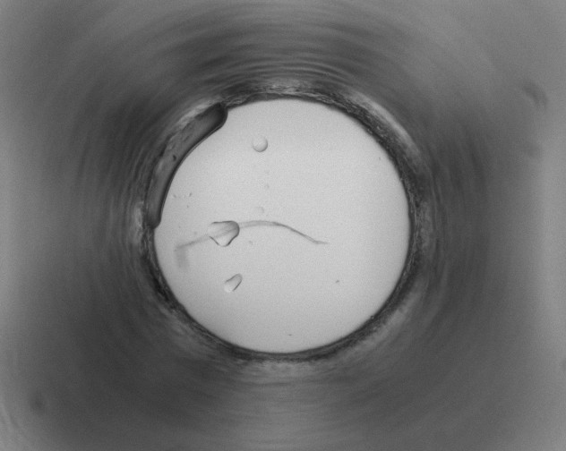 X0000116020777200912312152