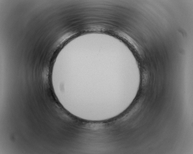 X0000116020778200912312152