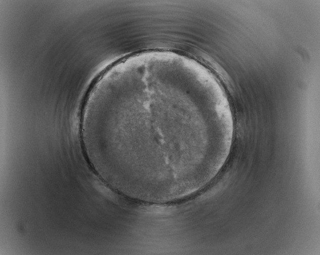 X0000116020779200912312152