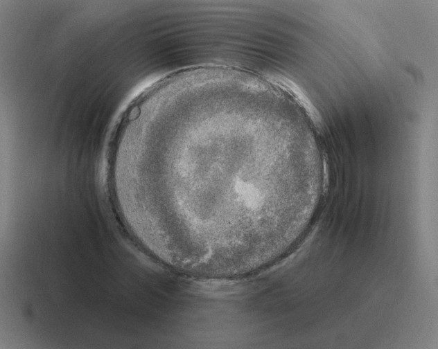 X0000116020780200912312152