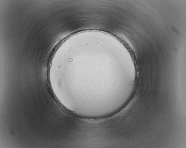 X0000116020781200912312152