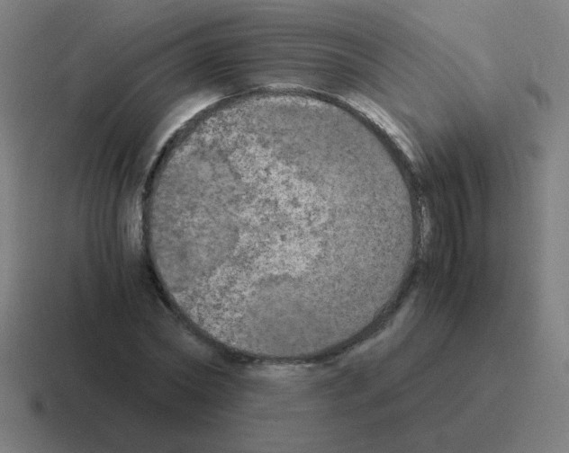 X0000116020782200912312152