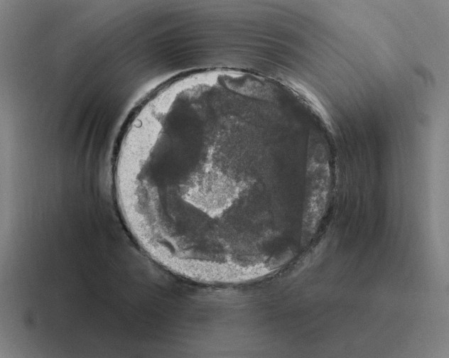 X0000116020784200912312152