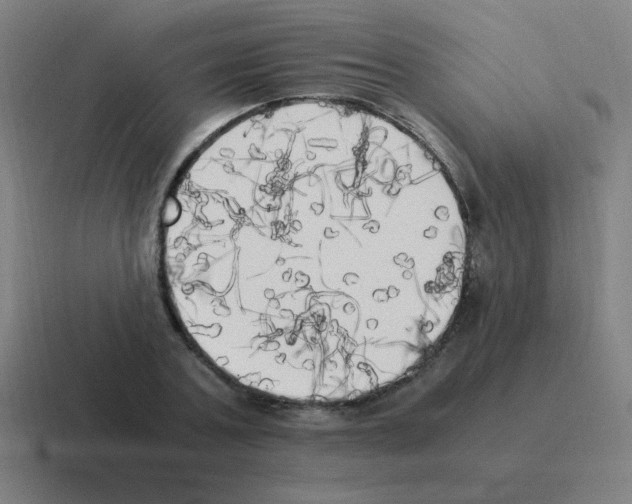 X0000116020787200912312152