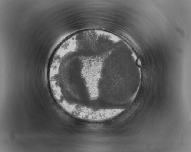 X0000116020788200912312152