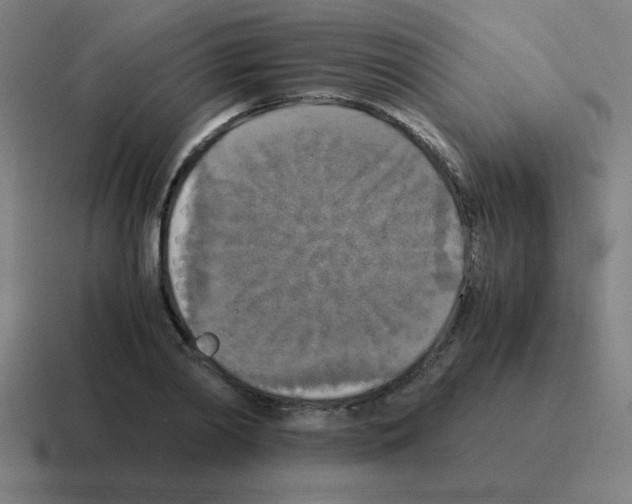 X0000116020790200912312152