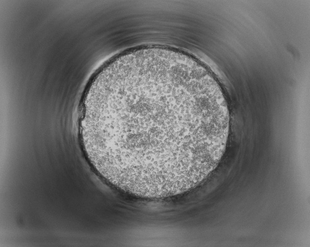 X0000116020791200912312152