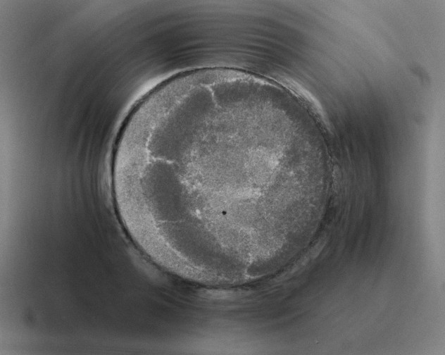 X0000116020792200912312152