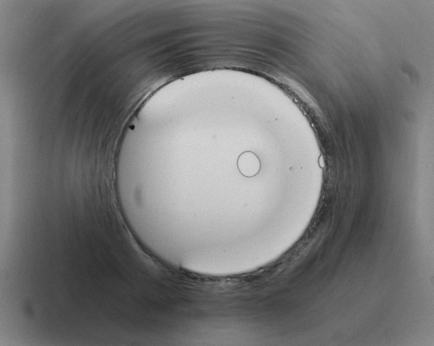 X0000116020793200912312152