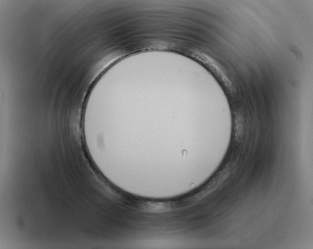 X0000116020794200912312152