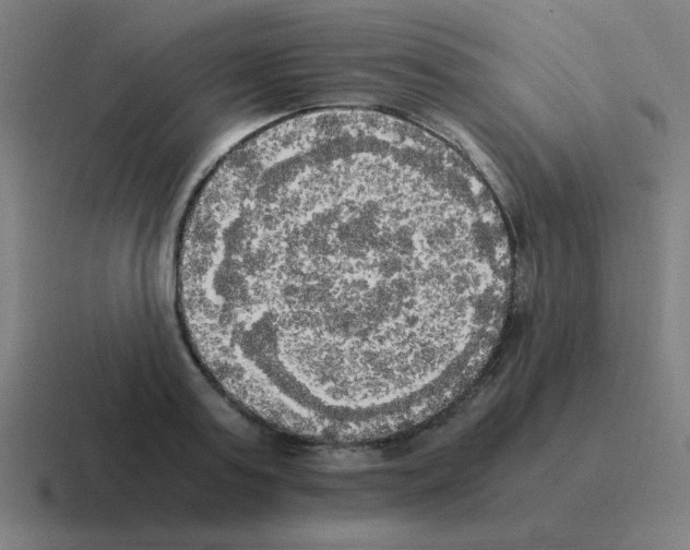 X0000116020795200912312152