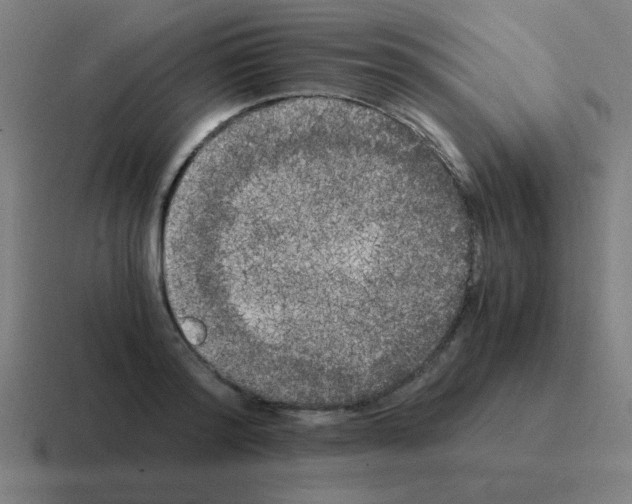 X0000116020796200912312152