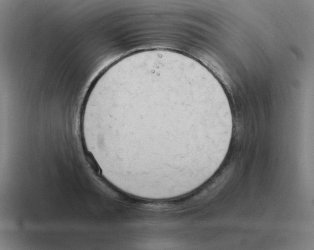 X0000116020797200912312152