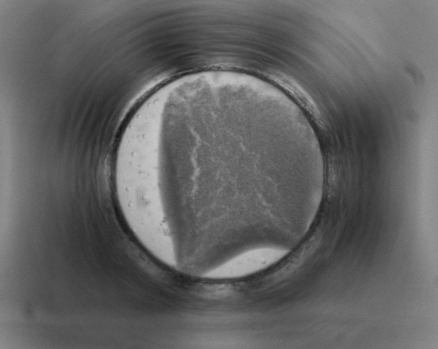 X0000116020798200912312152