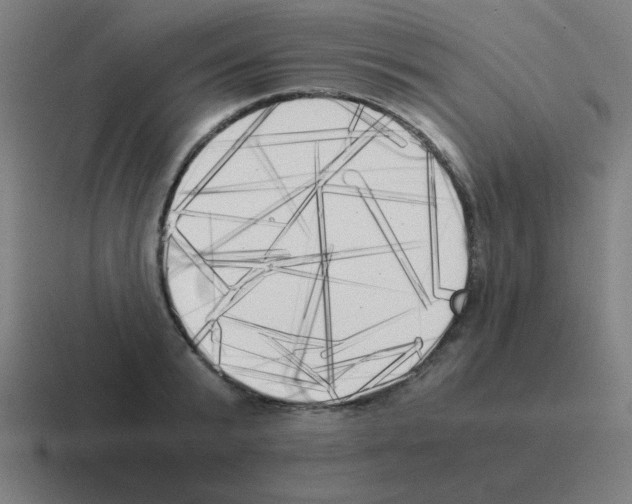 X0000116020799200912312152