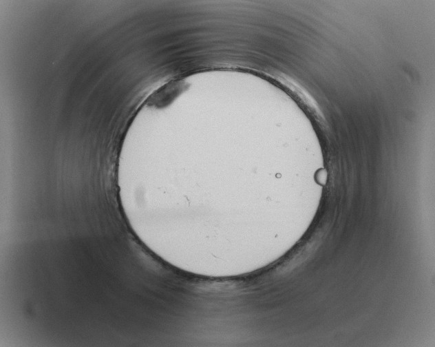 X0000116020801200912312152