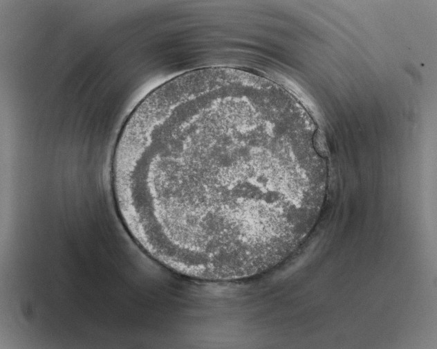 X0000116020803200912312152