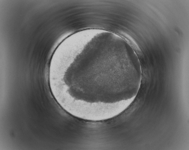 X0000116020804200912312152