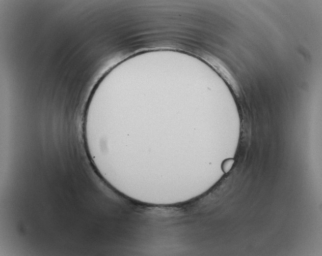 X0000116020805200912312152