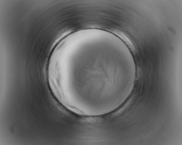 X0000116020806200912312152