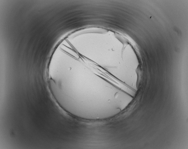 X0000116020807200912312152