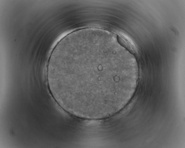 X0000116020808200912312152