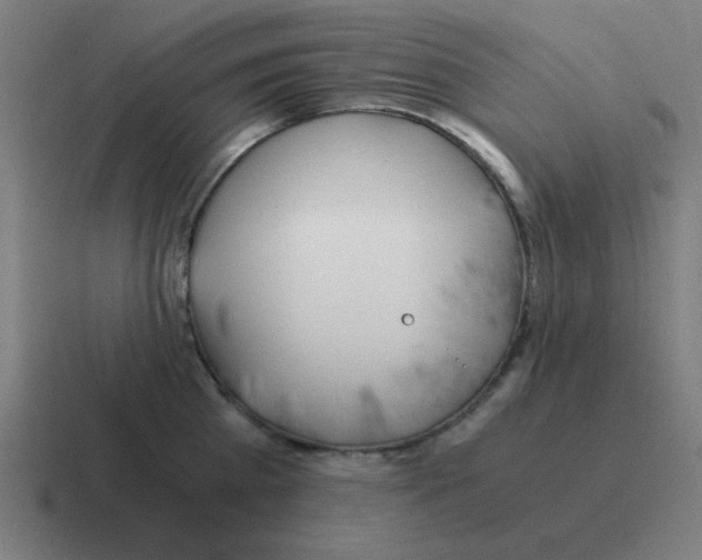 X0000116020809200912312152