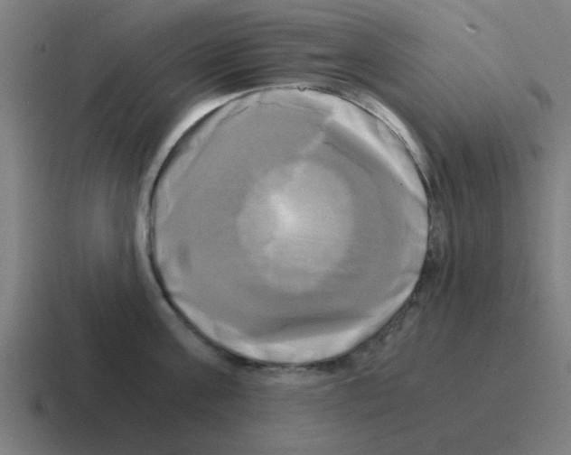 X0000116020811200912312152