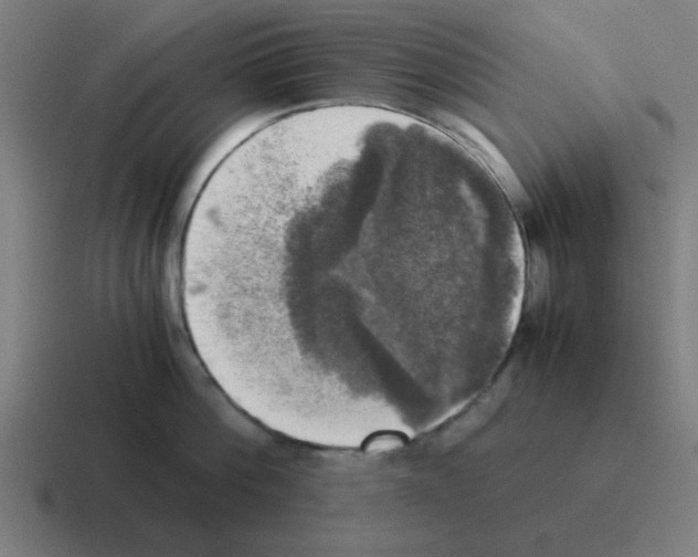 X0000116020812200912312152