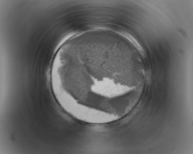 X0000116020814200912312152