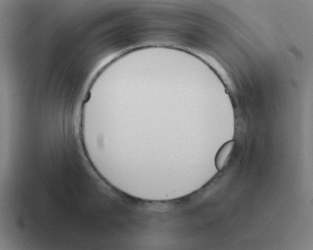 X0000116020815200912312151