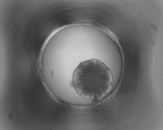 X0000116020816200912312151