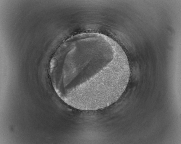 X0000116020817200912312151