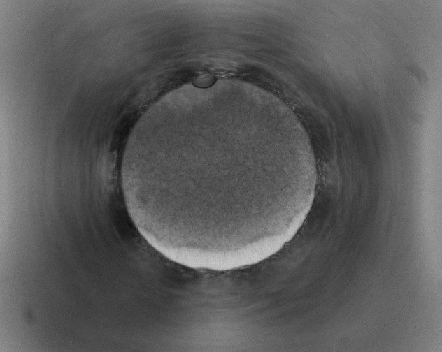 X0000116020818200912312151