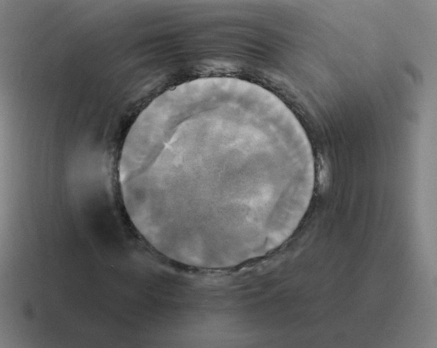 X0000116020819200912312151