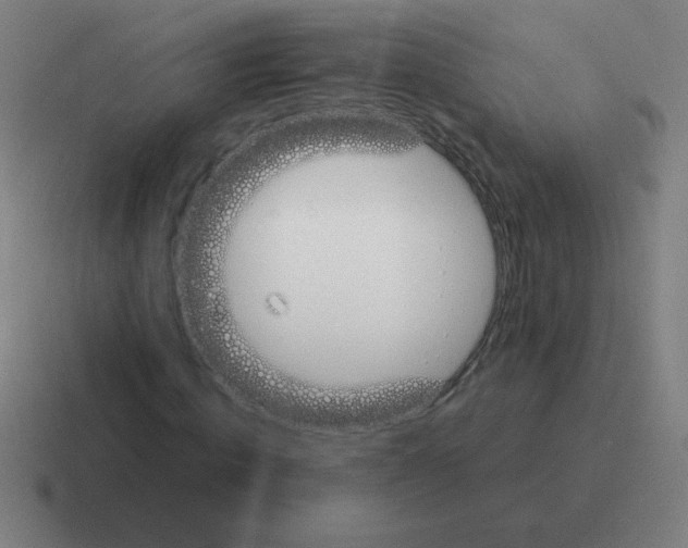 X0000116020820200912312151