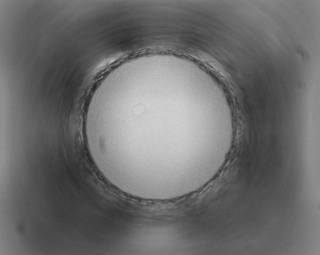 X0000116020824200912312151