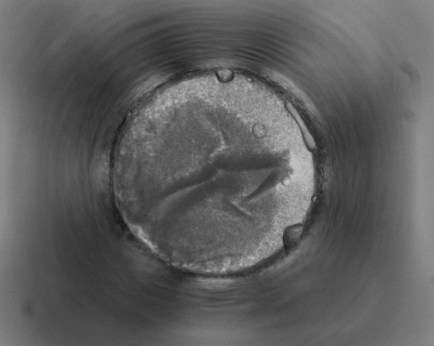 X0000116020825200912312151