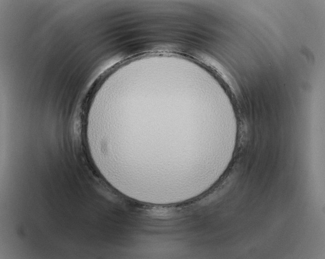 X0000116020827200912312151