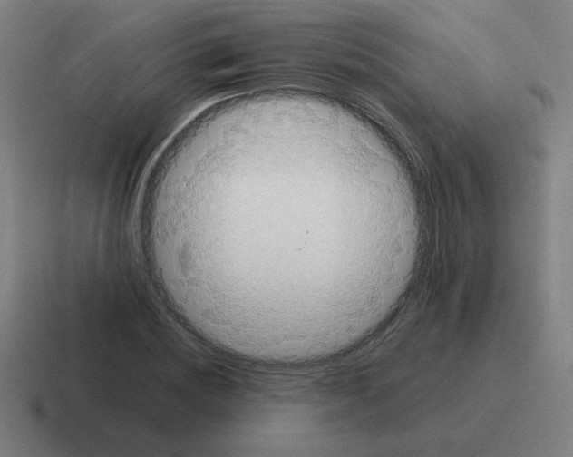 X0000116020828200912312151